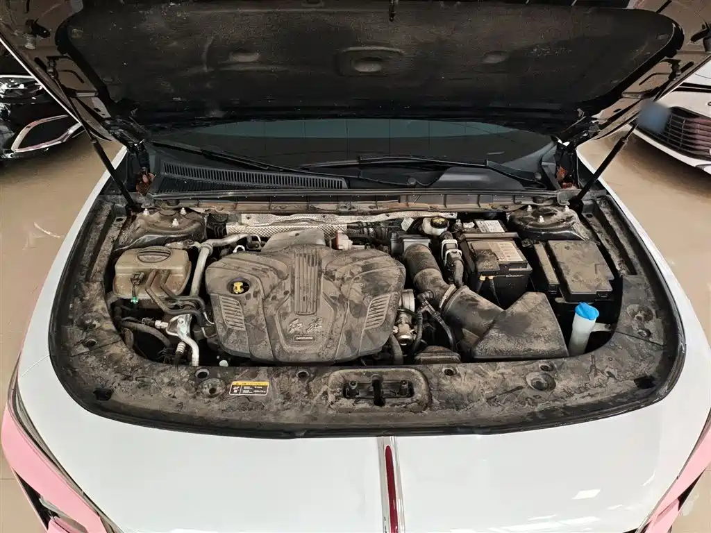 Hongqi H5 2023 2.0T Auto Smart Connect Flag Comfort фото 20