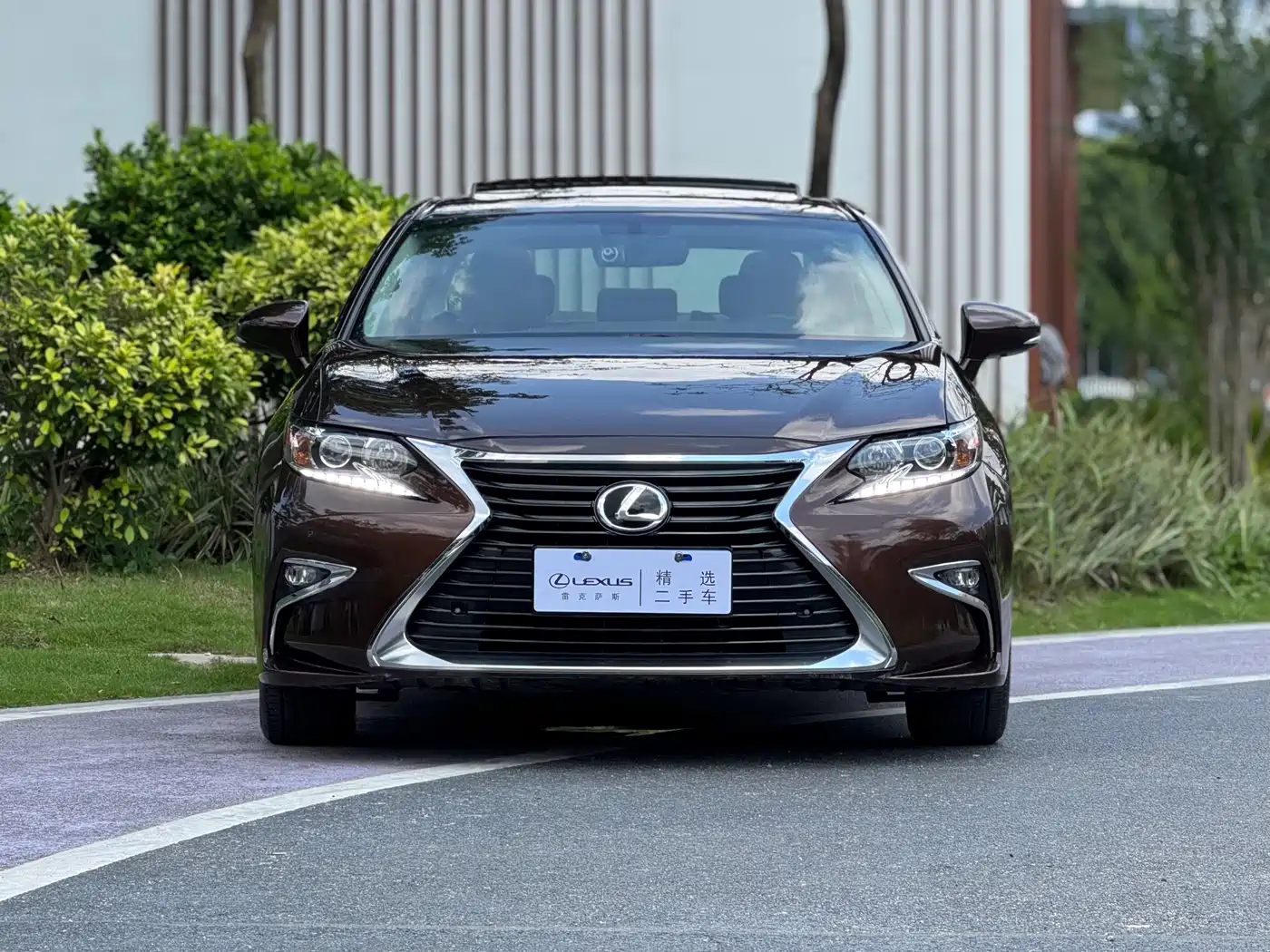 Lexus ES 2015 200 Elite Edition фото 2
