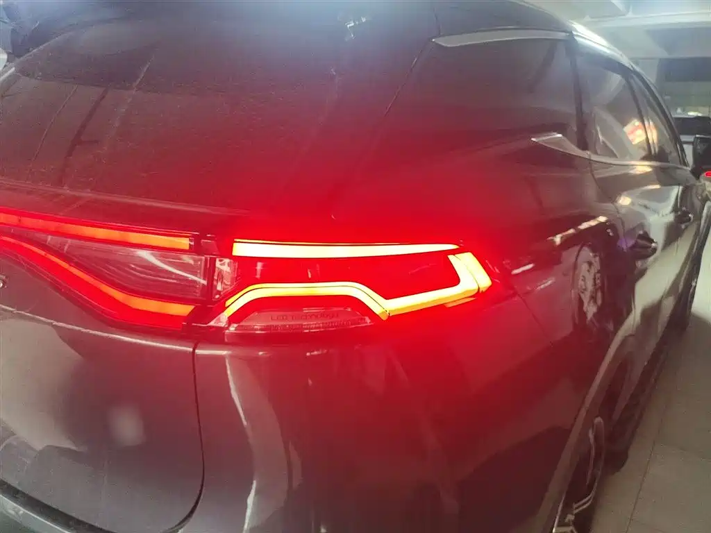 BYD Tang New Energy 2021 DM-i 112KM Premium фото 8