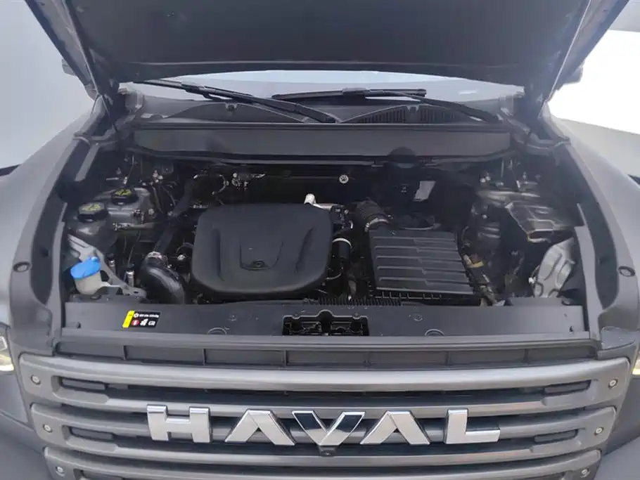 Haval Meng Long NEV 2024 Hi4 145 Cross-country Edition фото 10