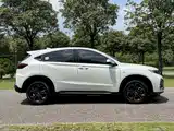 Фото 7 - Honda XR-V