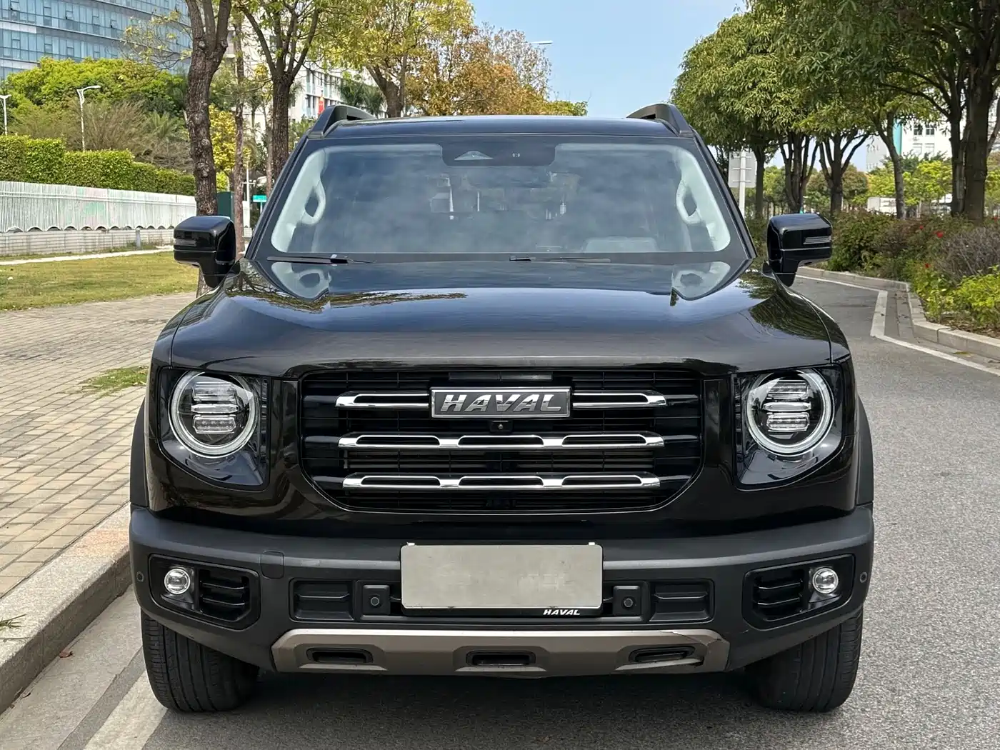 HAVAL BIG DOG