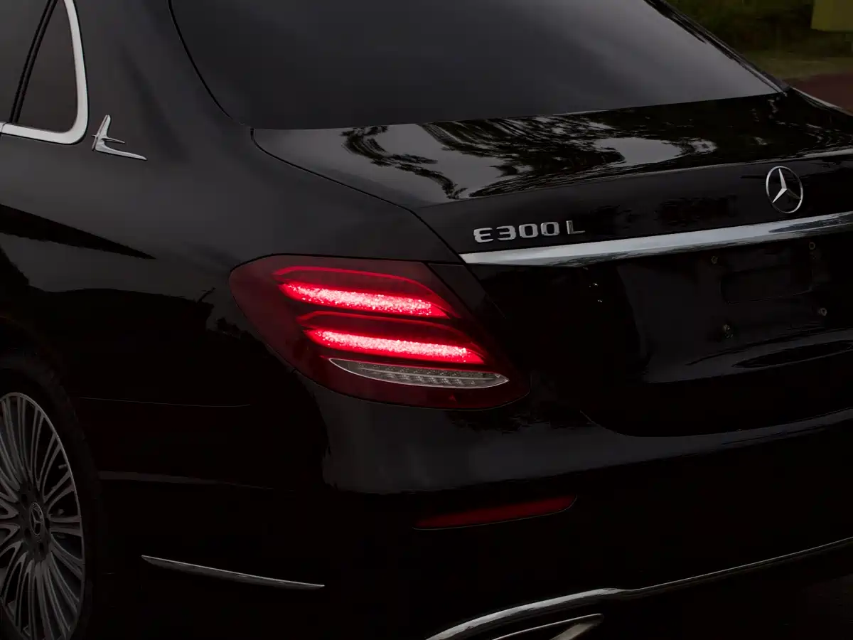 Mercedes-Benz E-Class 2019 E 300 L Luxury фото 7