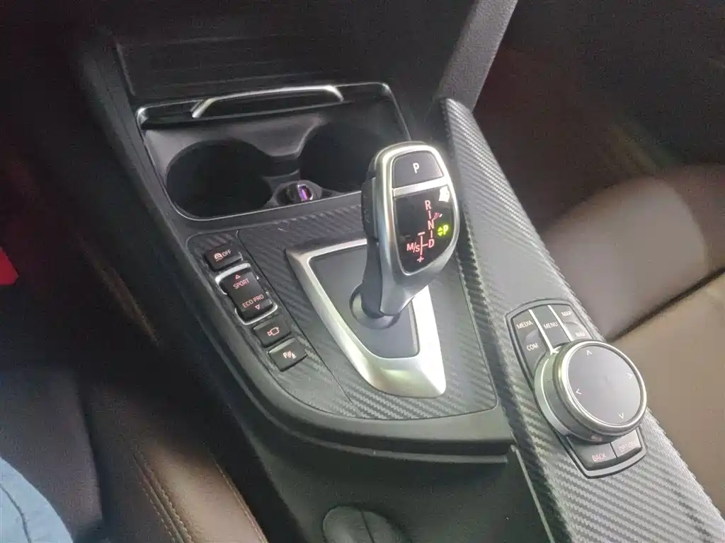 BMW 3 Series 2019 320Li M Luxury Package фото 14