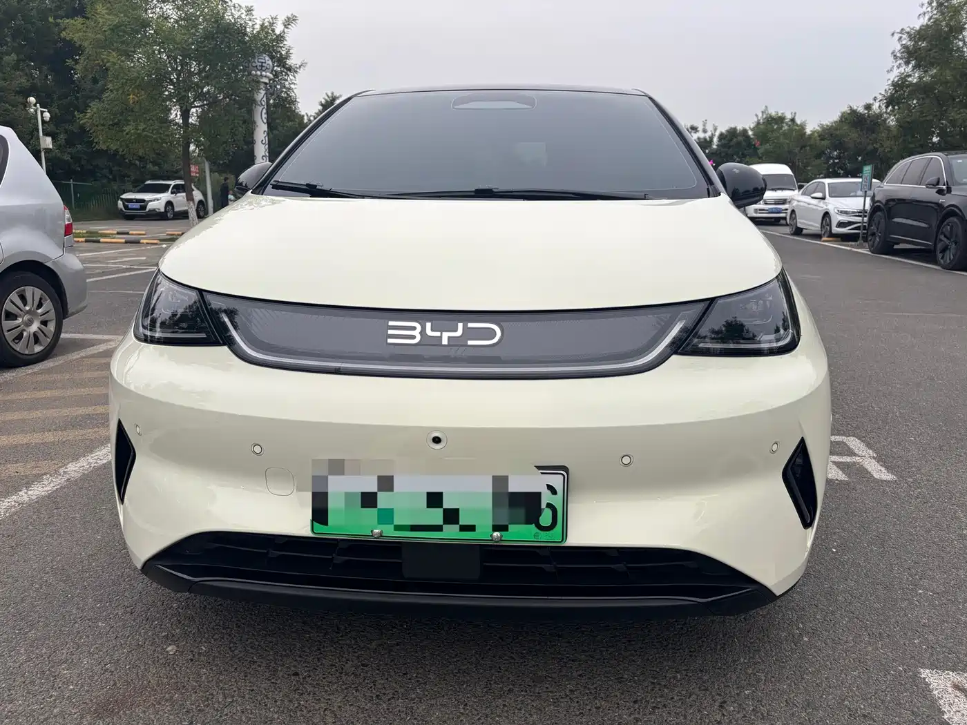 BYD Dolphin 2026 2025 Smart Drive Edition 420km Freedom Version