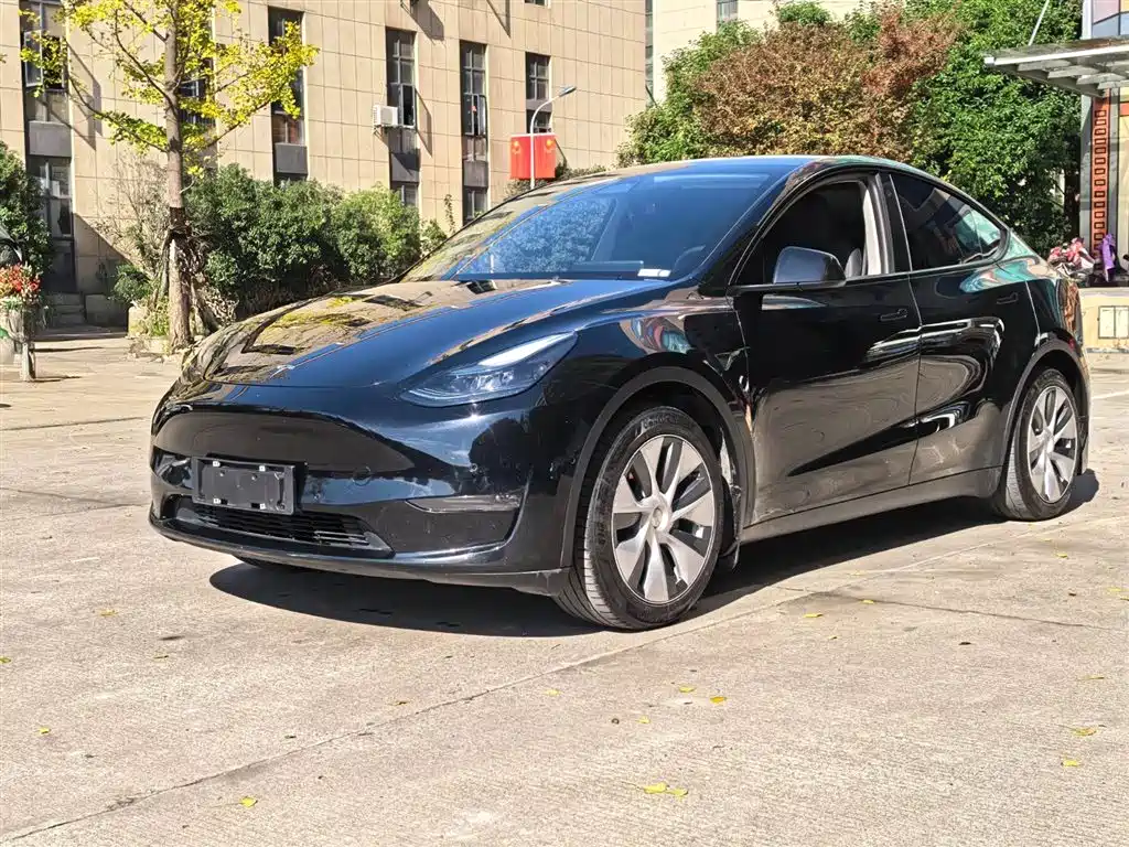 Tesla Model Y 2021 Standard Range Rear-Wheel Drive