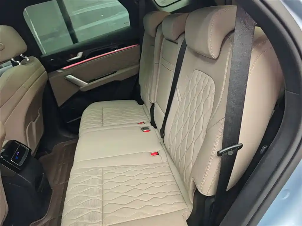BYD Tang New Energy 2024 DM-p Champion Edition 215KM AWD Flagship фото 17
