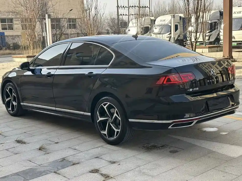 Volkswagen Magotan 2024 2 Million Units Public Sharing Edition 330TSI DSG Luxury фото 7