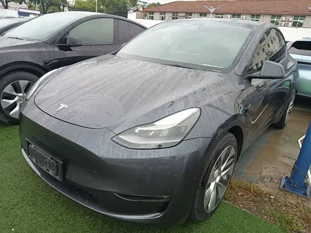 Tesla Model Y 2021 Long Range All-Wheel Drive 3D7