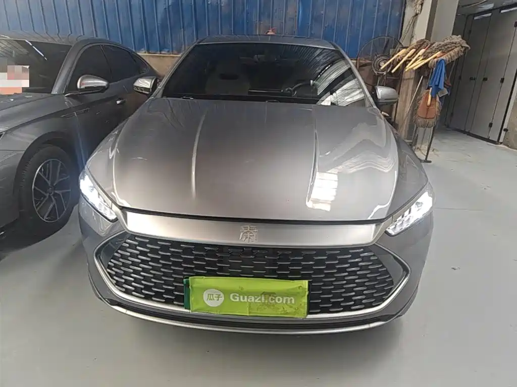 BYD Qin PLUS 2023 Champion Edition DM-i 120KM Leading Type фото 3
