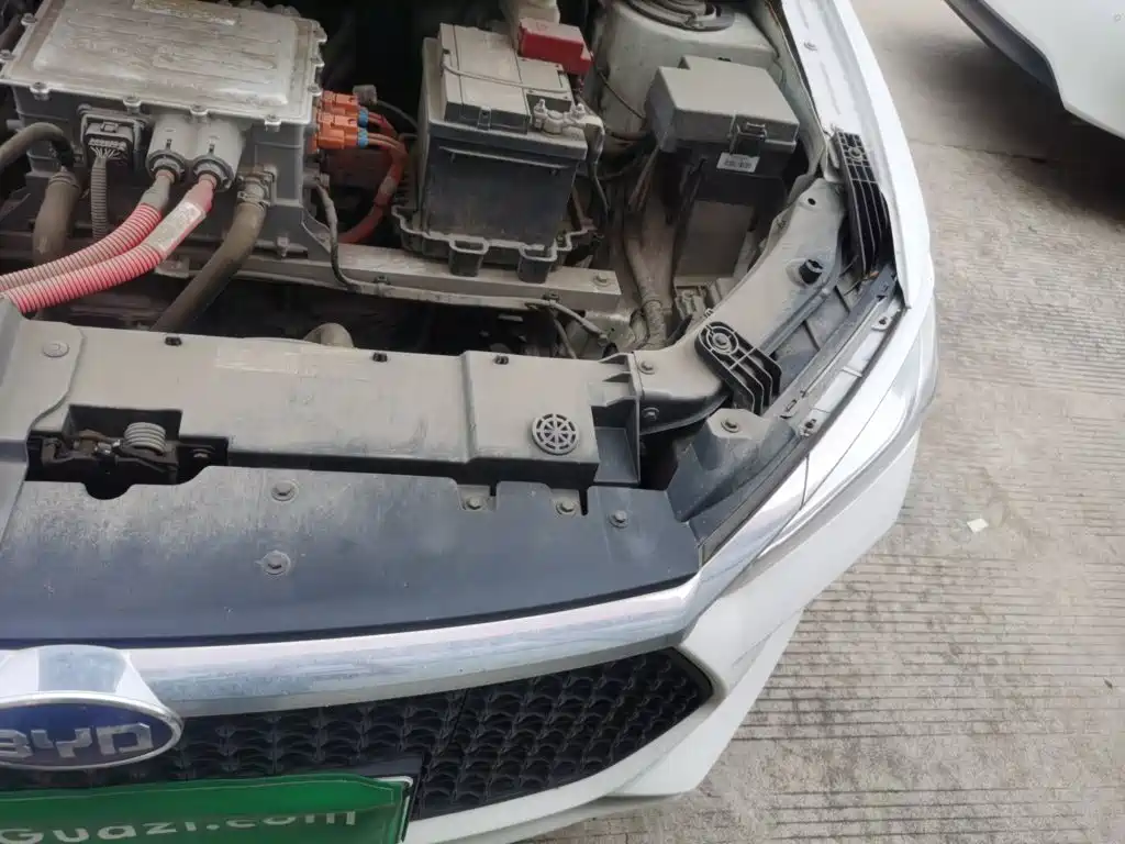 BYD e2 2021 2020 Upgrade Standard Range Standard Model