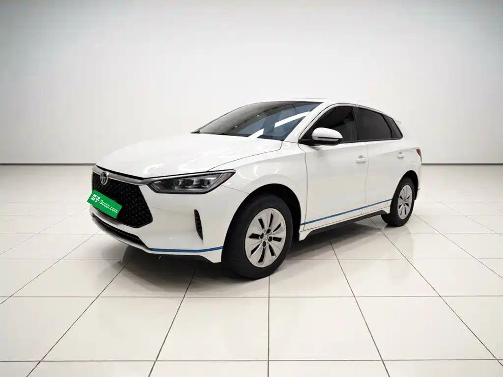 BYD e2 2021 2020 Upgrade Standard Range Standard Model