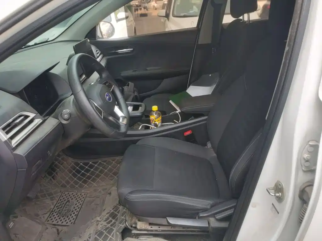 BYD e2 2021 2020 Upgrade Standard Range Standard Model