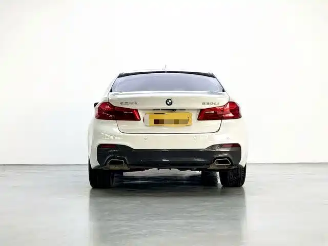 BMW 5 Series 2020 530Li Leading M Sport Package фото 7