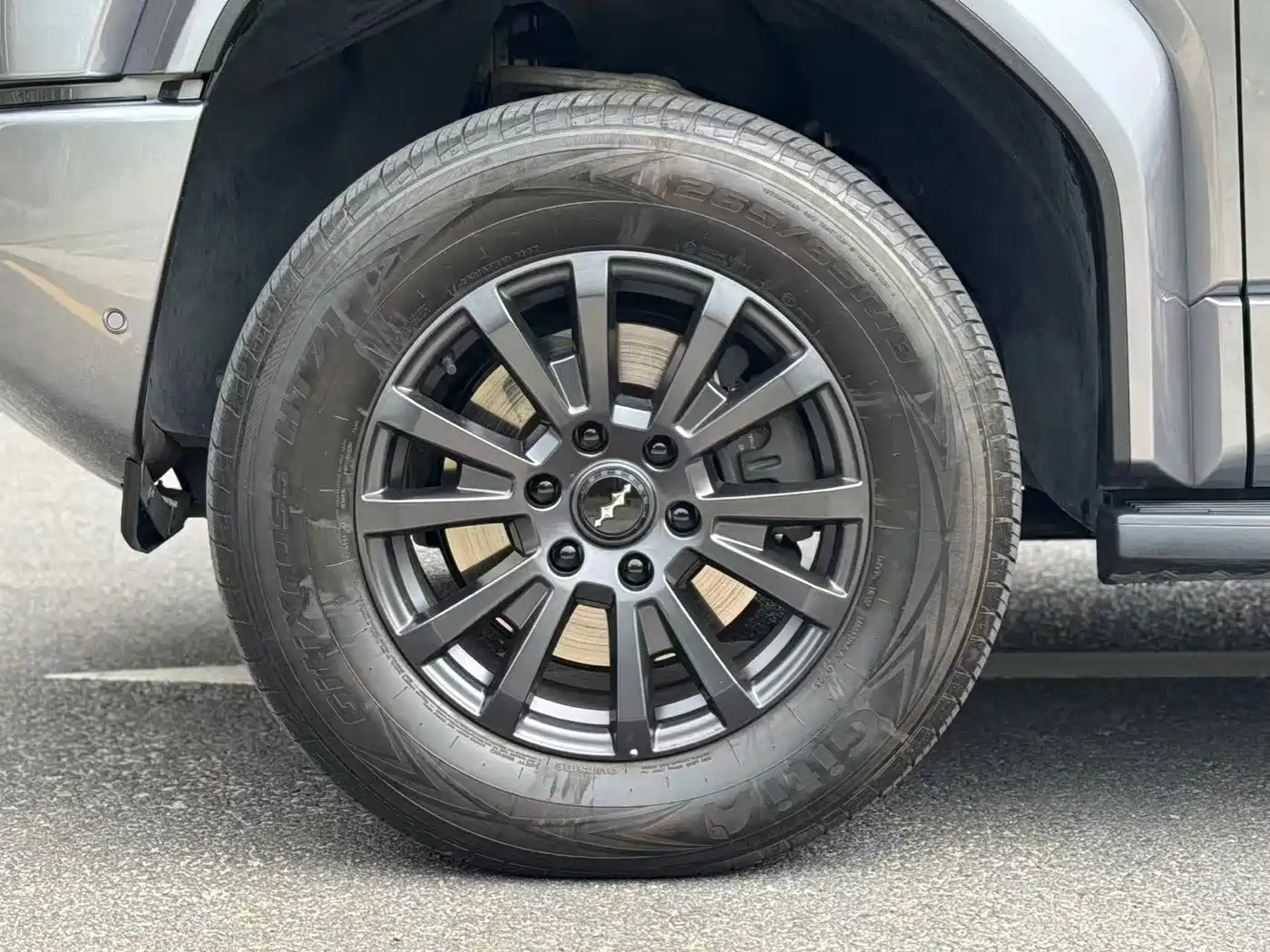 FANG CHENG BAO LEOPARD 5