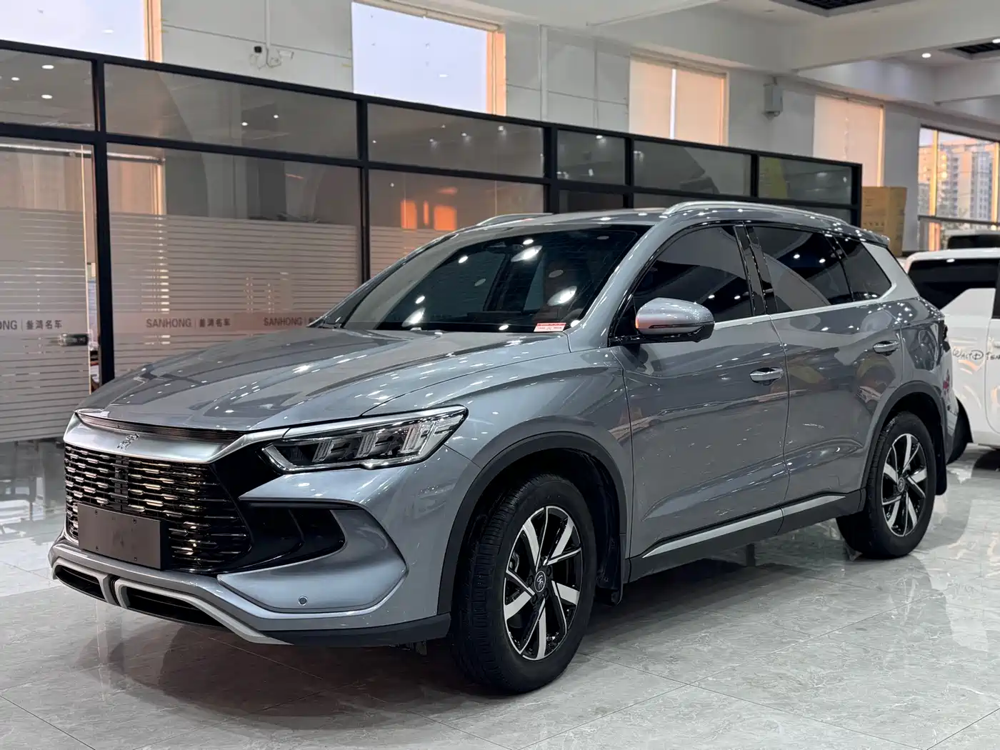 BYD Song Pro New Energy 2024 Glory Edition DM-i 71KM Leading