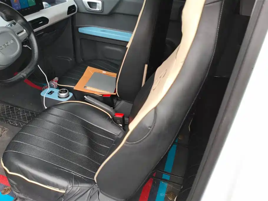 Geely Galaxy Panda 2024 Panda mini 200km Endurance Bear фото 11