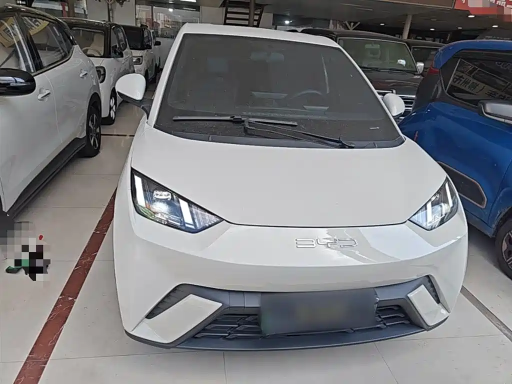 BYD Seagull 2024 Glory Edition 405km Soaring Edition фото 3