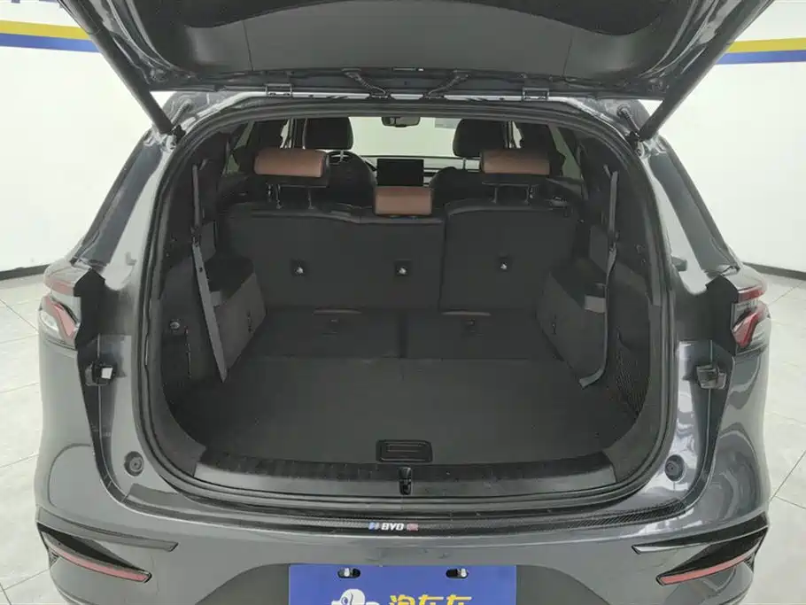 BYD Tang New Energy 2021 DM-i 112KM Premium фото 4