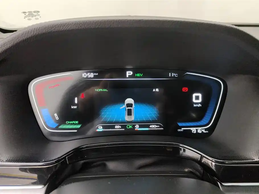 BYD Tang New Energy 2021 DM-i 112KM Premium фото 14