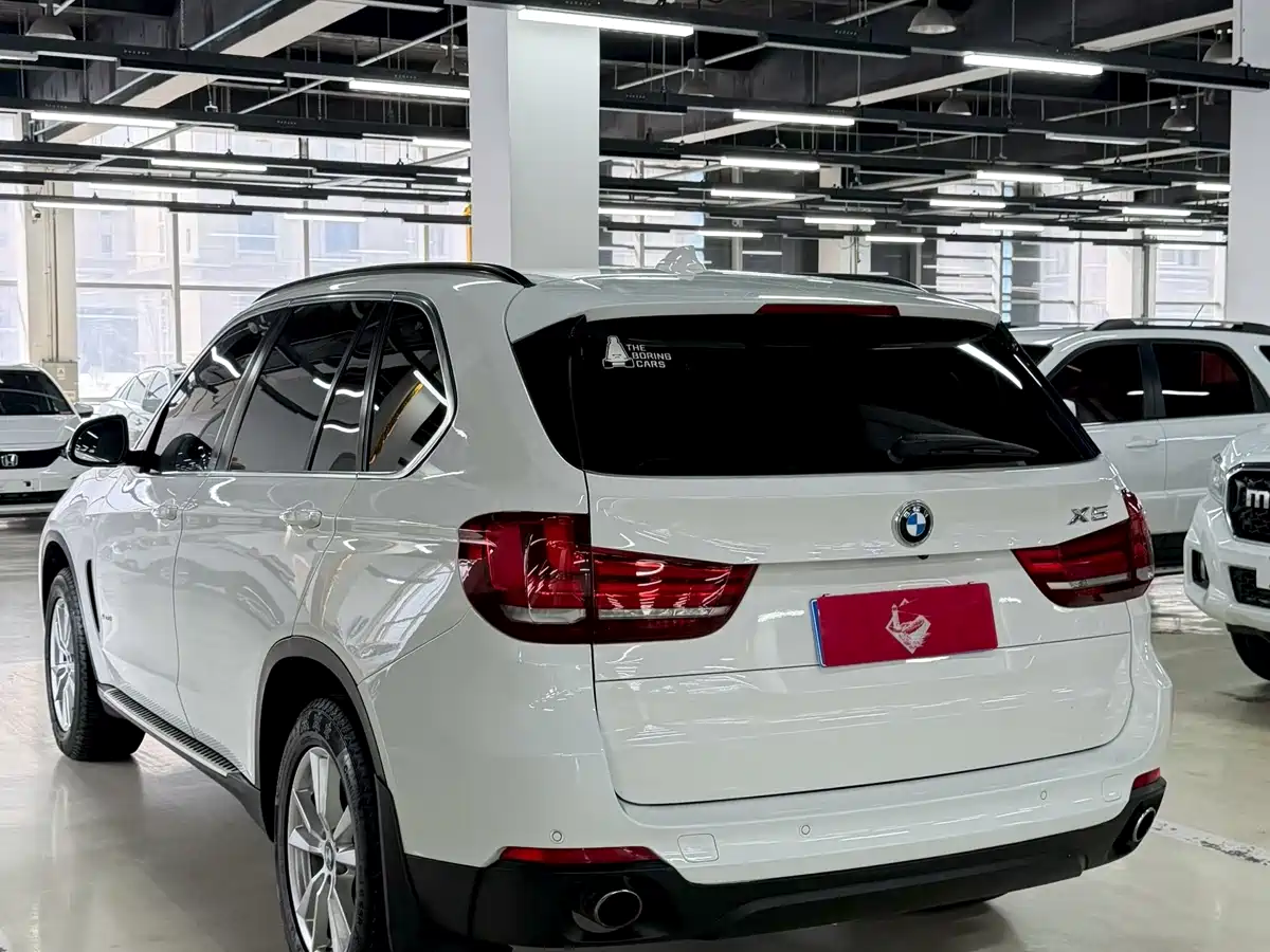 BMW X5 (Import) 2014 xDrive35i Elegance фото 7