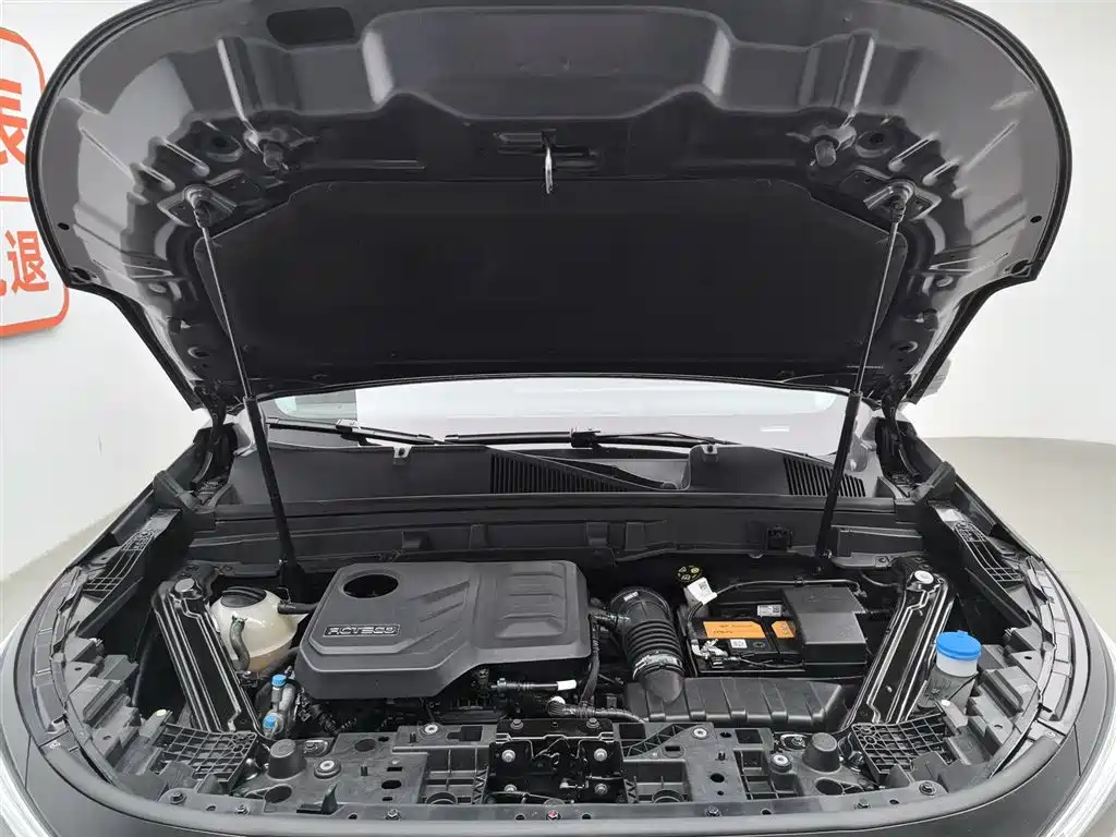 Exeed Landmark 2021 400T AWD Star Shine Pro 7-Seater фото 6