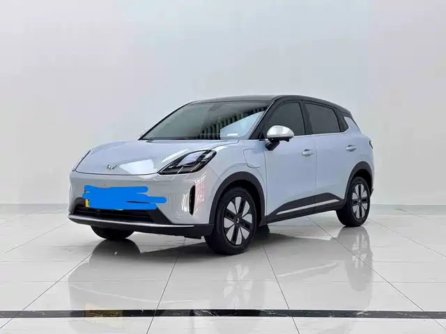  Wuling Motors Wuling Bingo S 2025 Model 325km Premium Edition