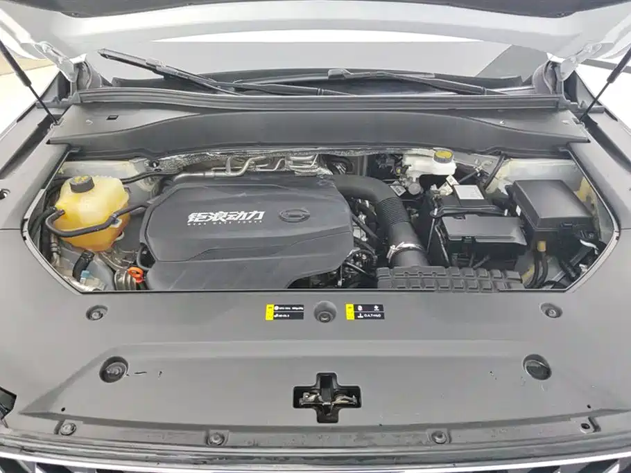 GAC Trumpchi Trumpchi GS8 2022 Pilot Series 2.0TGDI 2WD Luxury Smart Connect Edition (7-Seater) фото 10