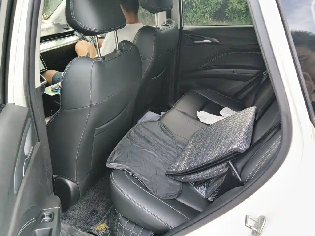 Nezha Auto Nezha V 2022 2022 Tide 300 Lite Ternary Lithium