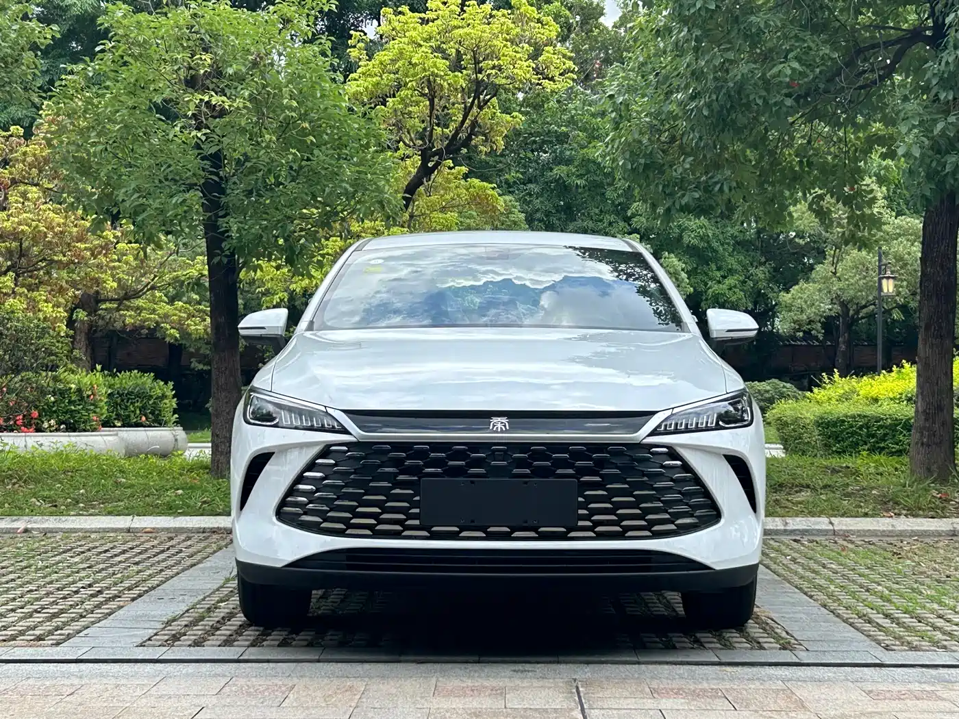 2026 BYD Qin PLUS
