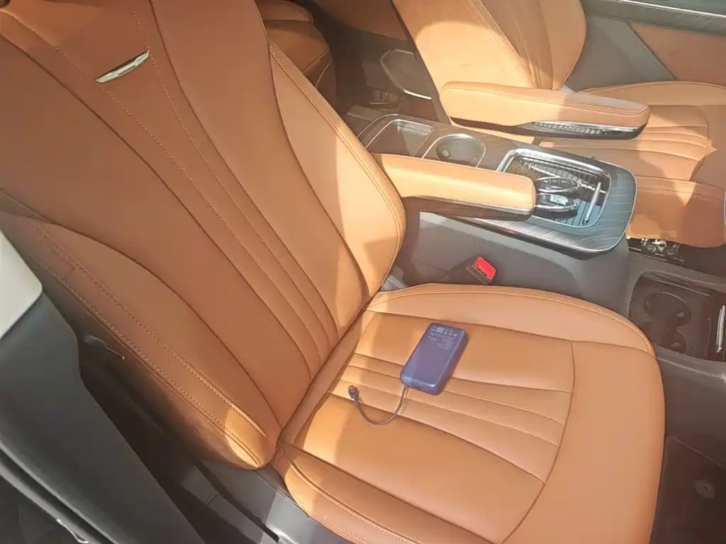 Hongqi HQ9 PHEV 2024 Model 2.0T AWD Business Edition фото 25