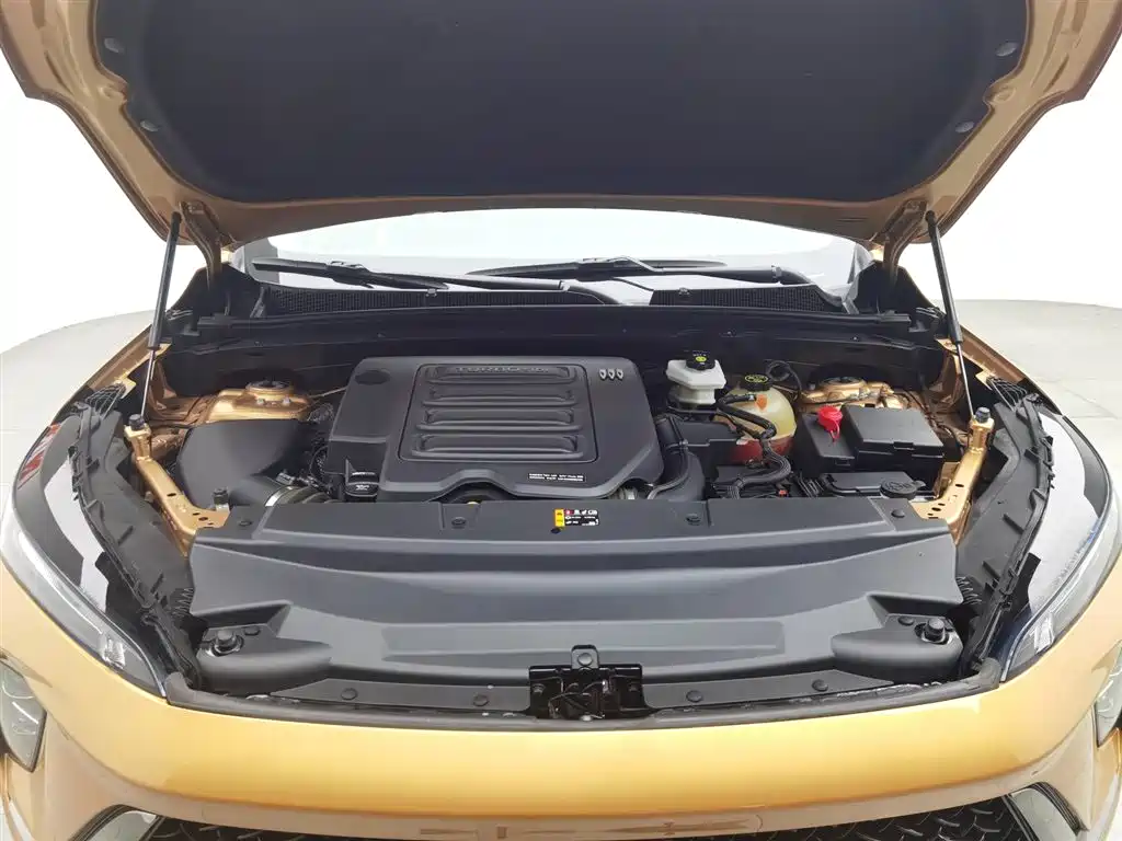 BUICK ANGKEWEI S