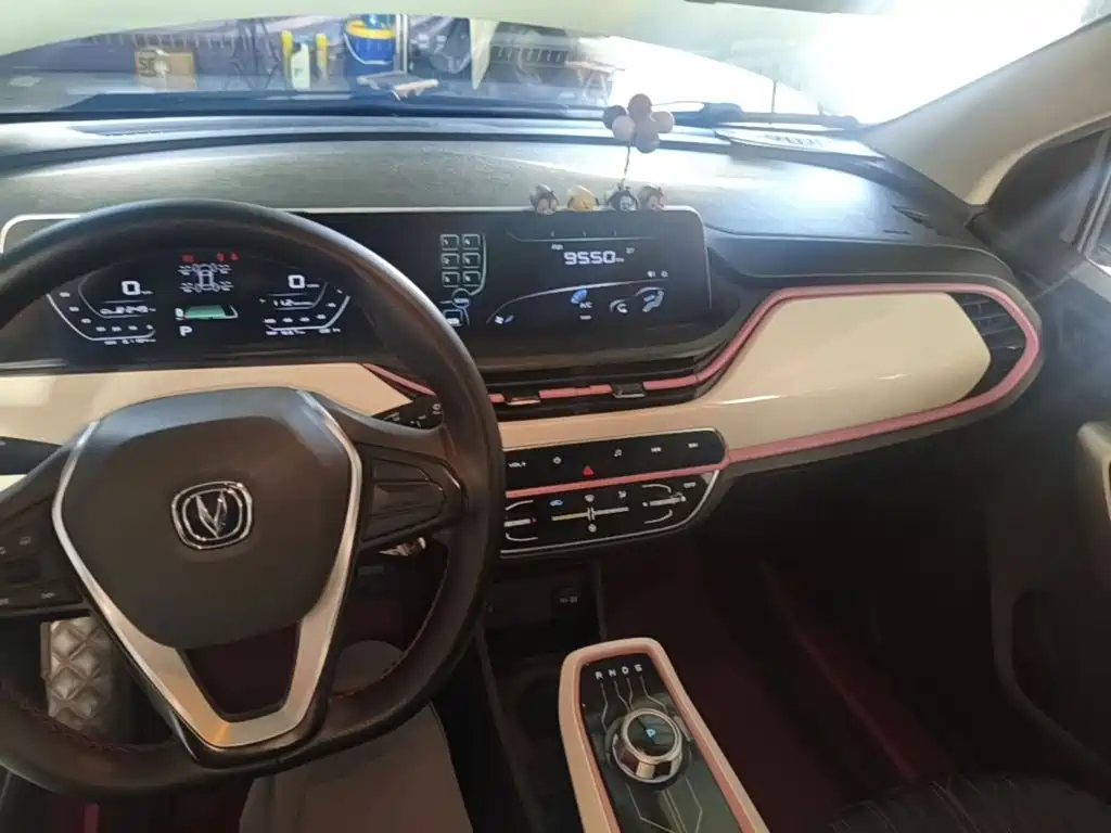 Changan Benben E-Star 2020 2020 Heartbeat Edition (NMC Battery)