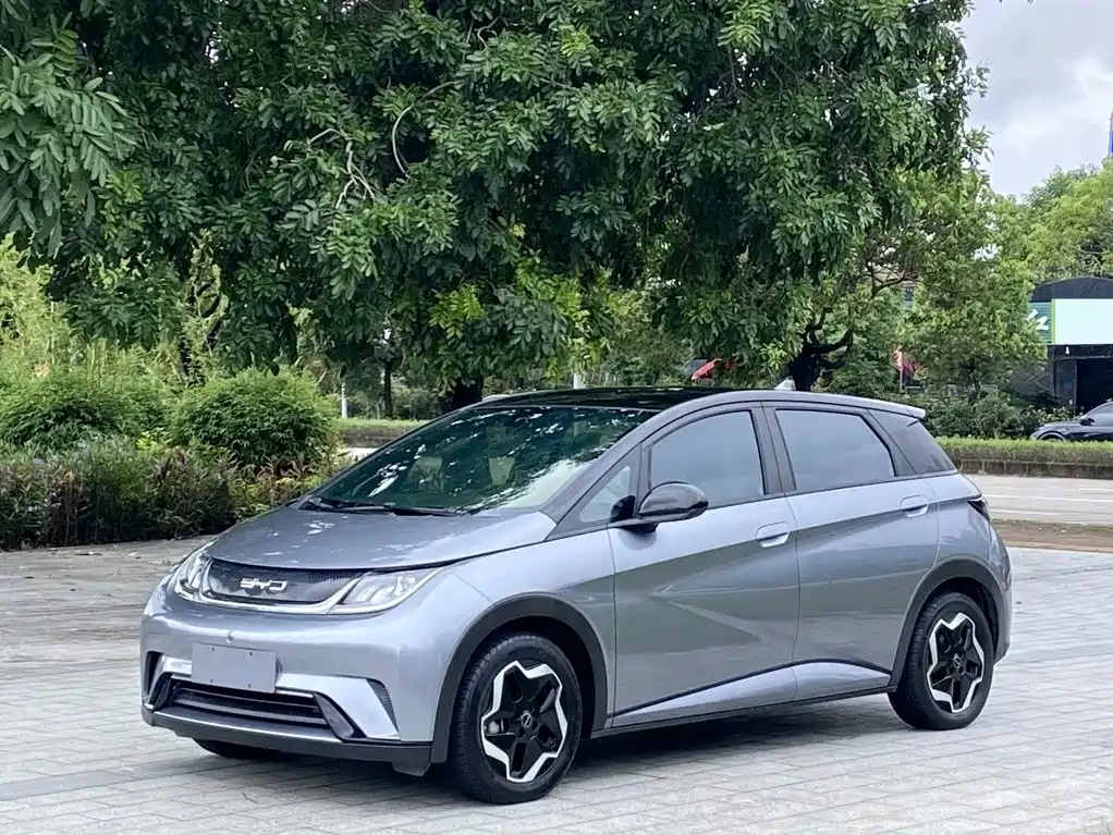BYD Dolphin 2021