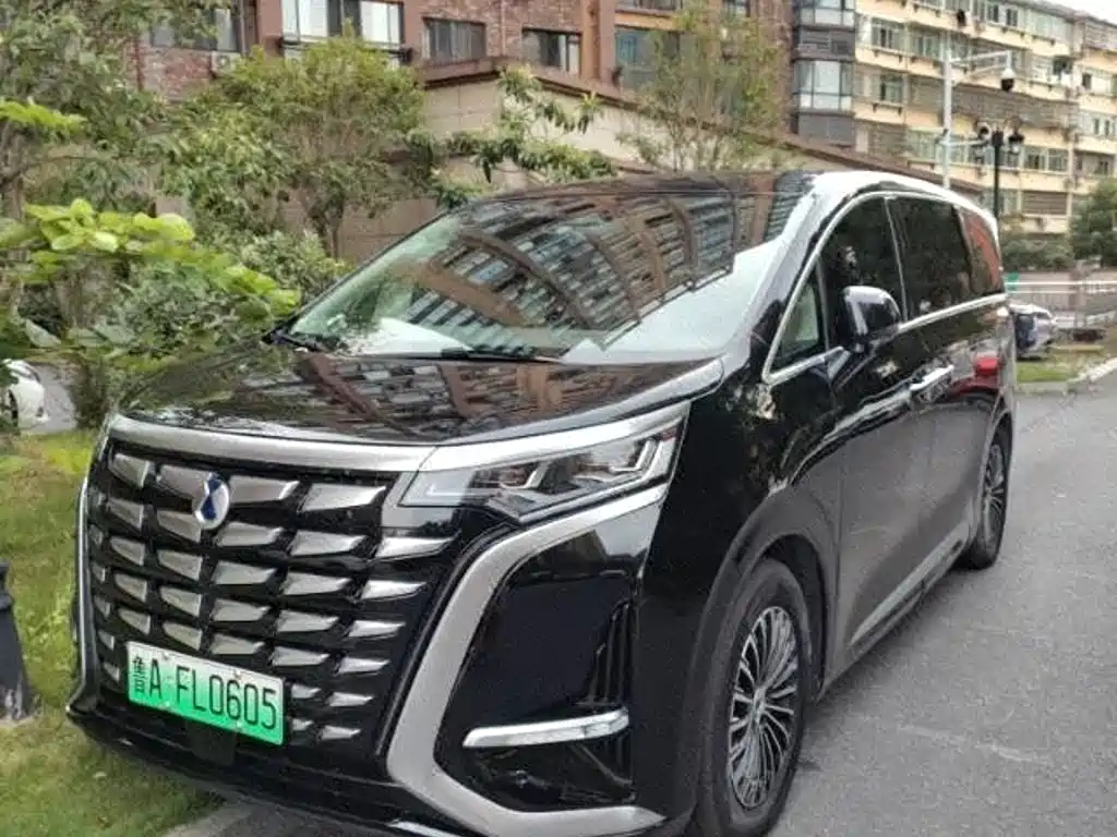 DENZA D9