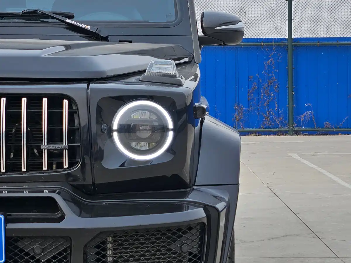Mercedes-Benz G-Class 2017 G 500 Excellence фото 8