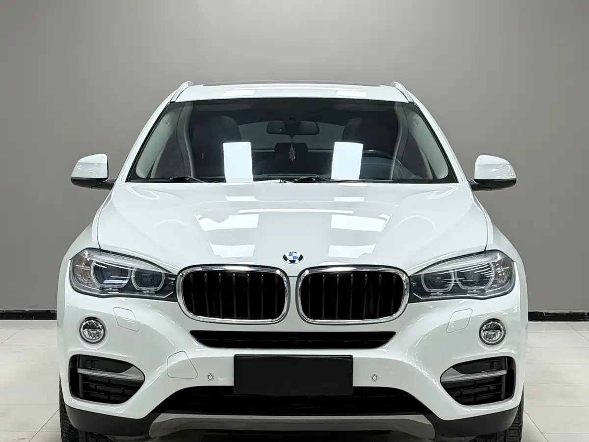 BMW X6 2015 xDrive35i Luxury Model фото 3