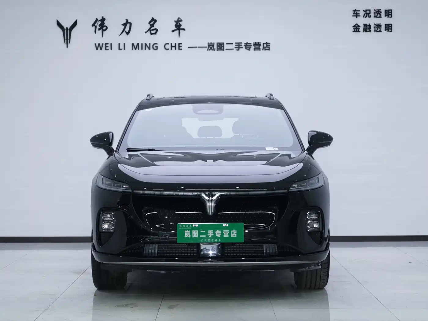 Voyah Auto Voyah Zhiyin 2024 4WD Global Edition фото 2