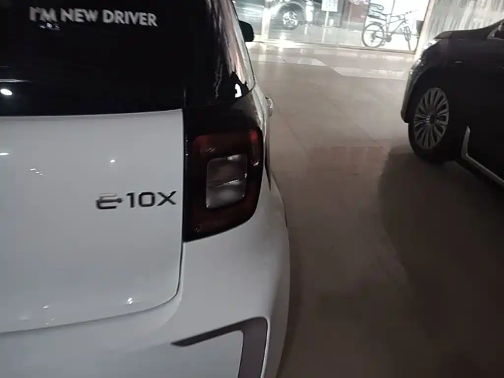 Sehol Flower Fairy 2021 2021 302km Luxury Edition 31.4kWh