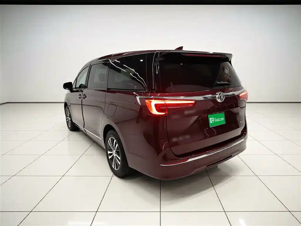 Buick GL8 2022 ES Landmark 653T Premium фото 5