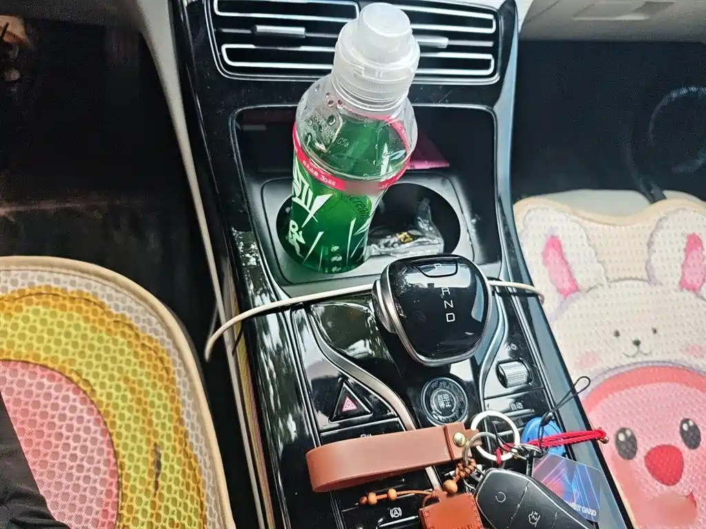 BYD Qin PLUS 2023 Champion Edition DM-i 55KM Leading фото 7