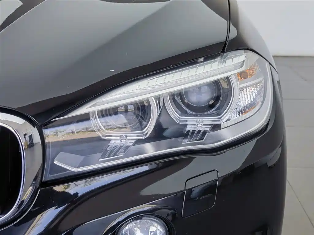 BMW X5 (Import) 2014 xDrive35i Elegance фото 7