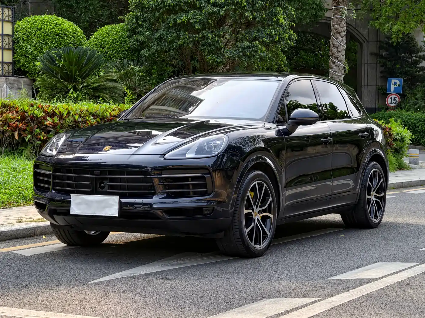 Porsche Cayenne 2022 Cayenne 3.0T Platinum Edition