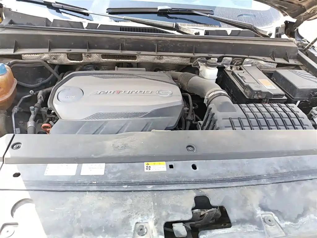 GAC Trumpchi Trumpchi GS8 2017 320T 2WD Luxury Smart Connect (7-seater) фото 16