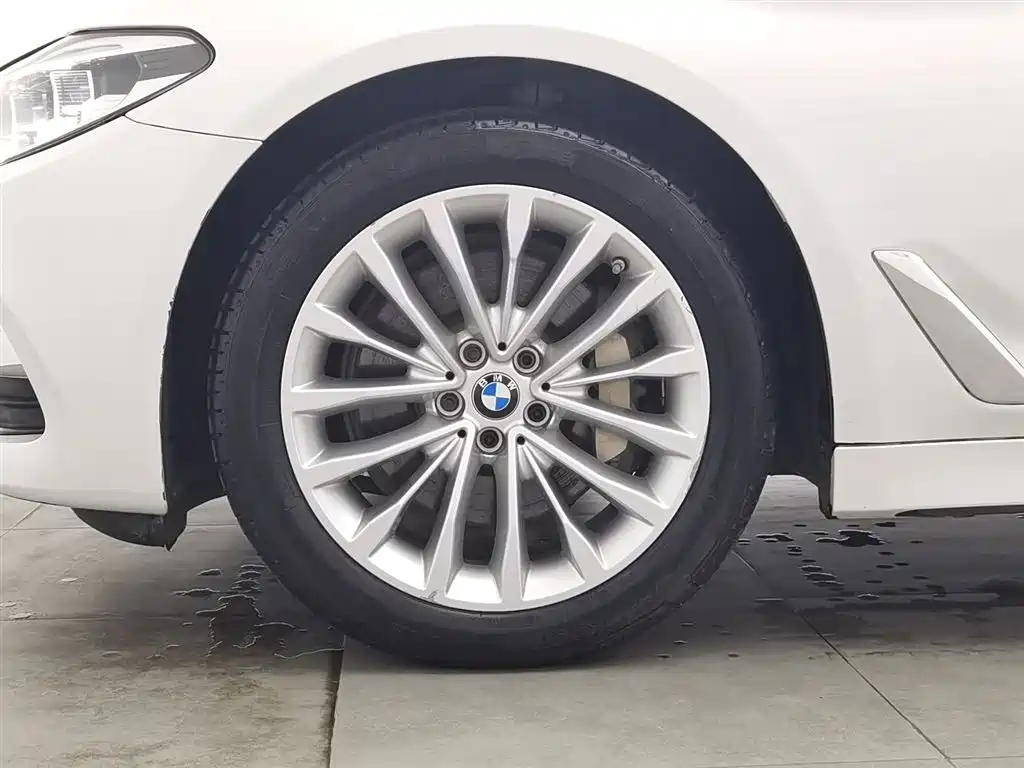 BMW 5 Series 2020 530Li Leading Luxury Package фото 17