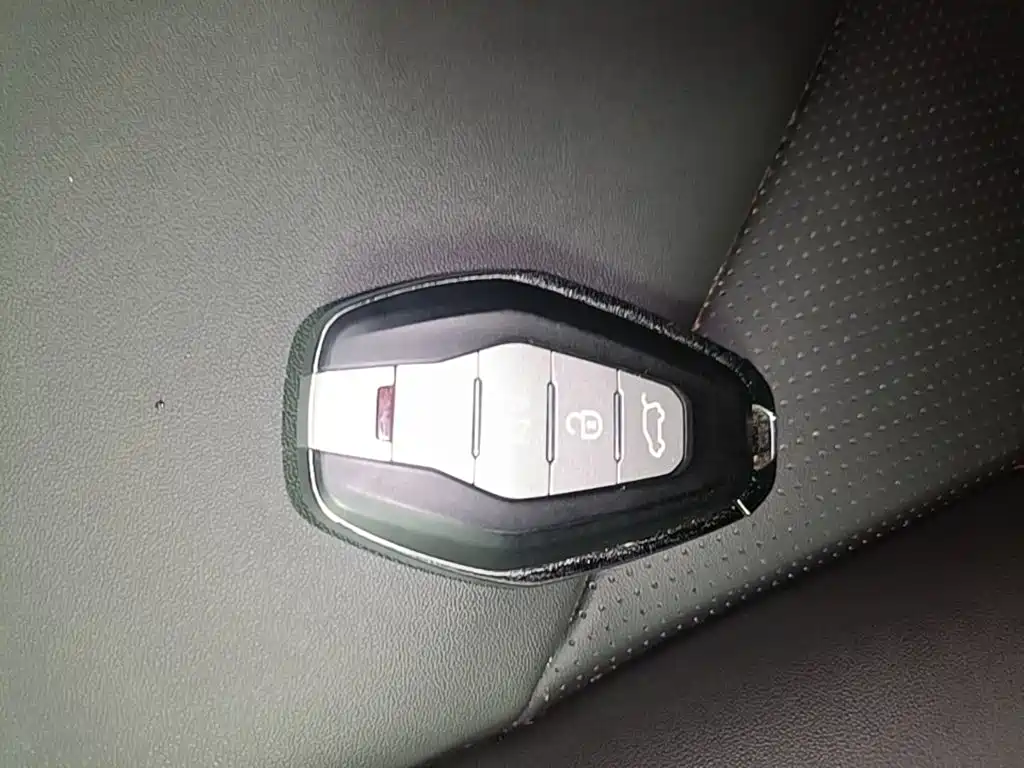 Chery New Energy Chery Wujie Pro 2023 2022 301km Mythical Beast Edition LFP