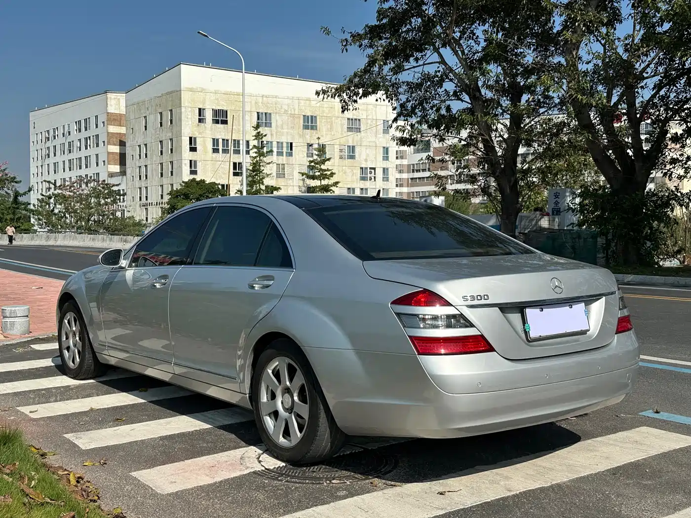 Mercedes-Benz S-Class 2008 S 300 L Premium фото 10