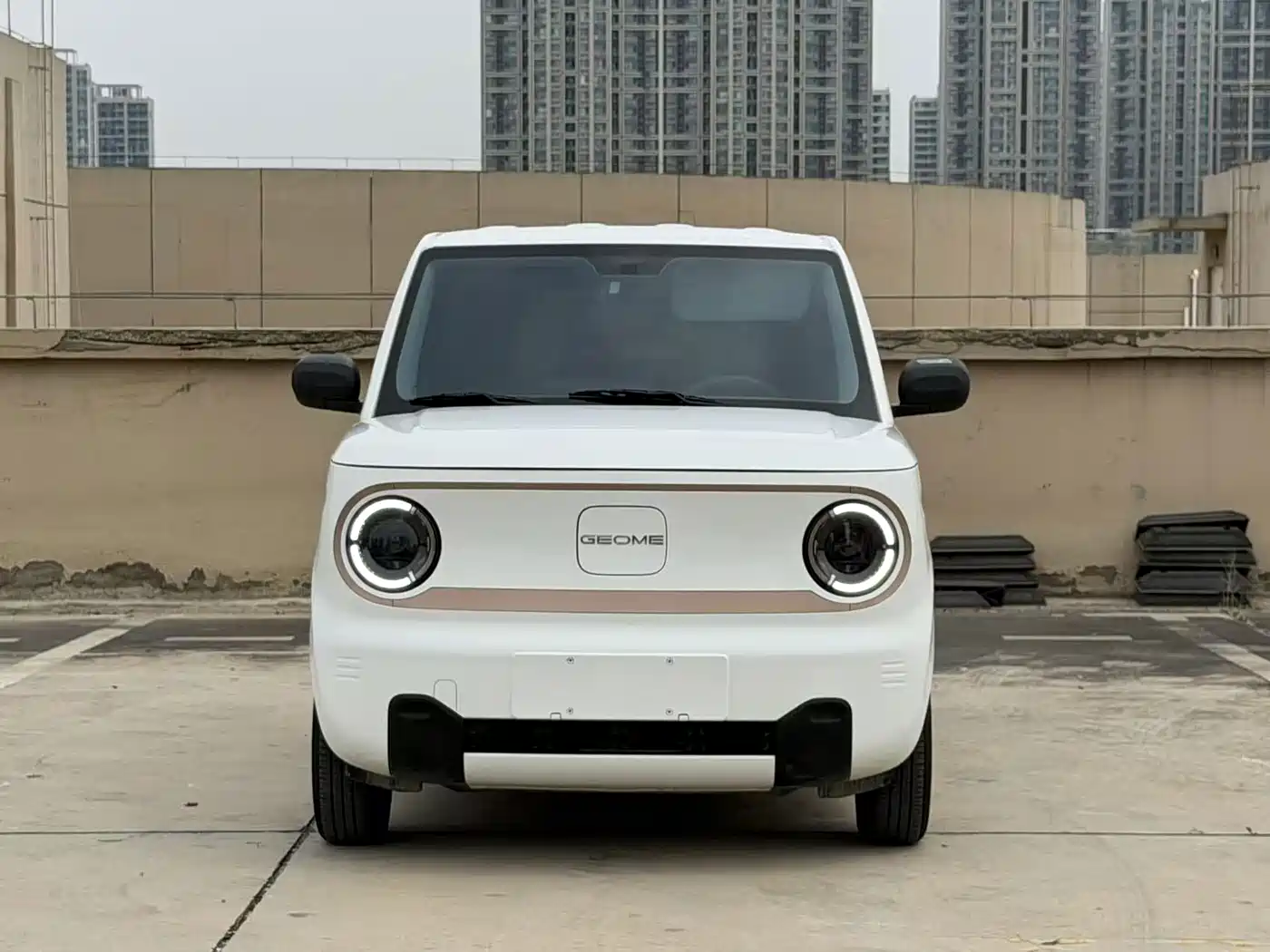 Фото 2 - Geely Galaxy Panda