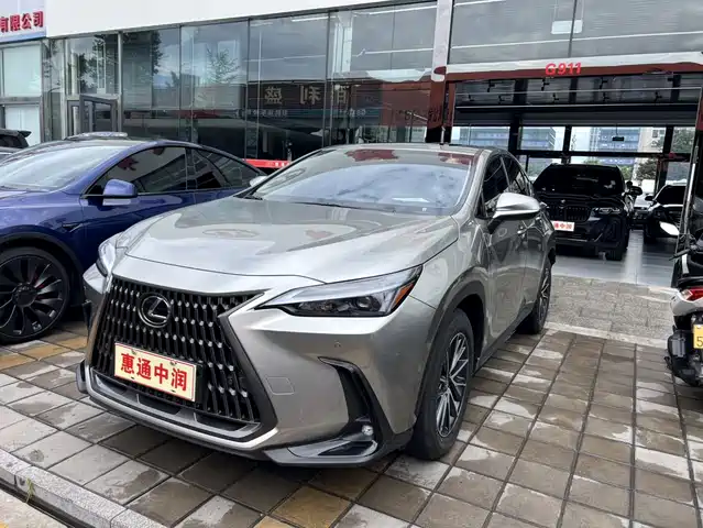  Lexus Lexus NX New Energy 2024 Model 400h+ Joy Edition