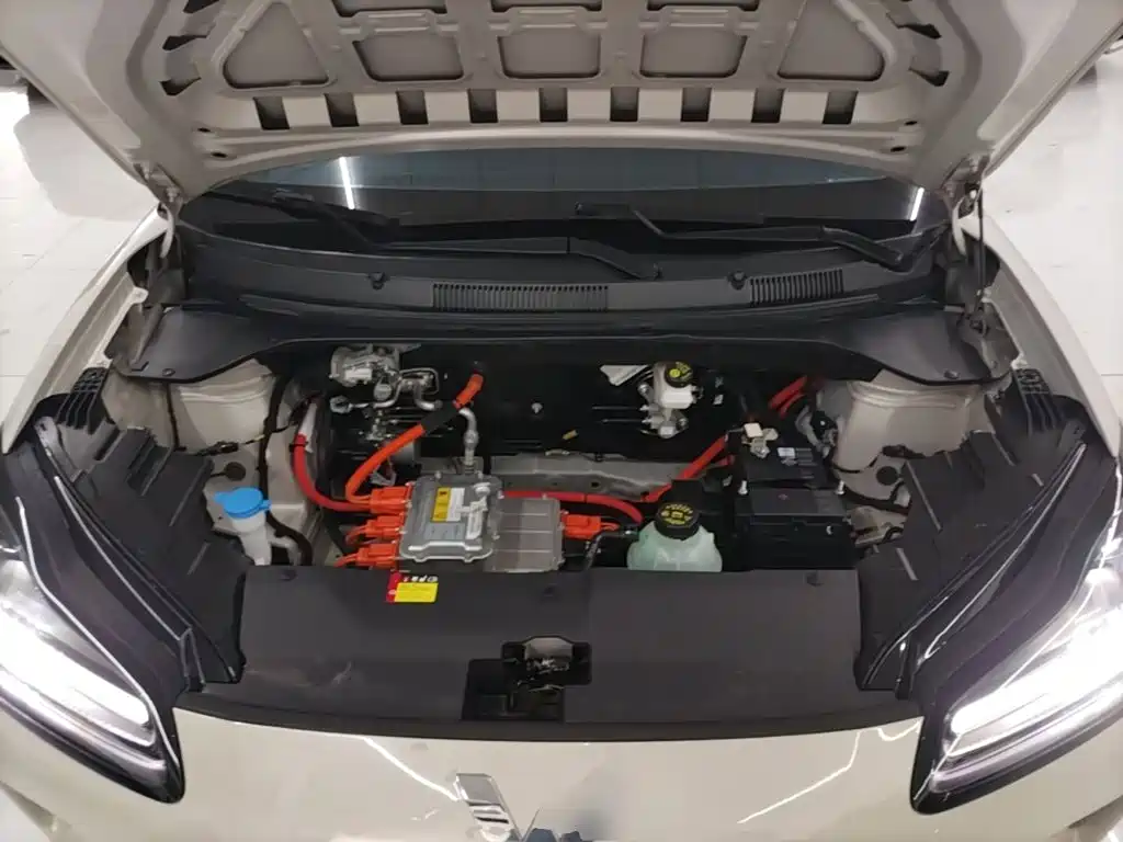 Wuling Motors Wuling Binguo PLUS 2024 2024 Model 330km 5-Seater